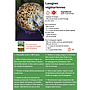 Fiches recettes beendi LENTILLES CORAIL aux épinards_hiver 2020